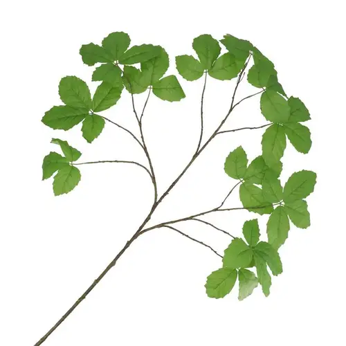 Seiden Kastanienblatt grün L135cm