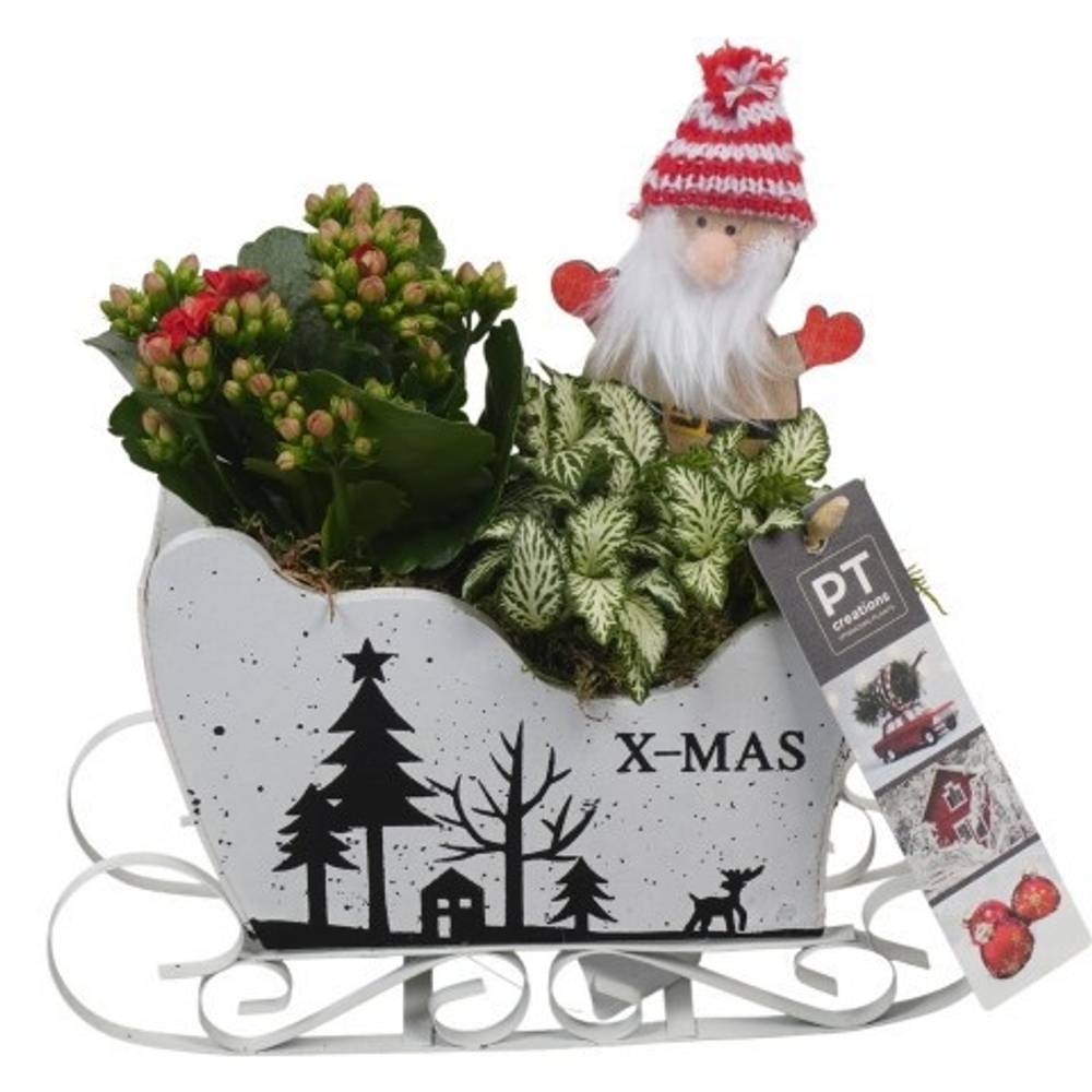 Kal.Arr PTCHR7397 Weihnachten T19 H020