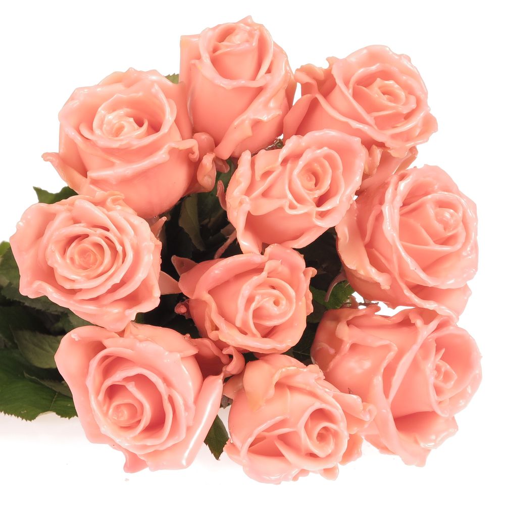 Rose apricot Wachs Versilia (W4) 70cm