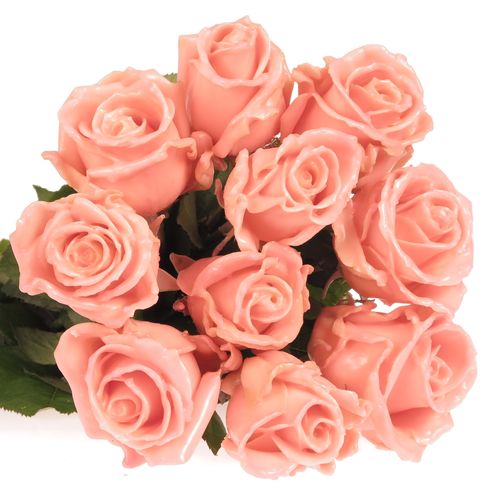 Rose apricot Wachs Versilia (W4) 70cm