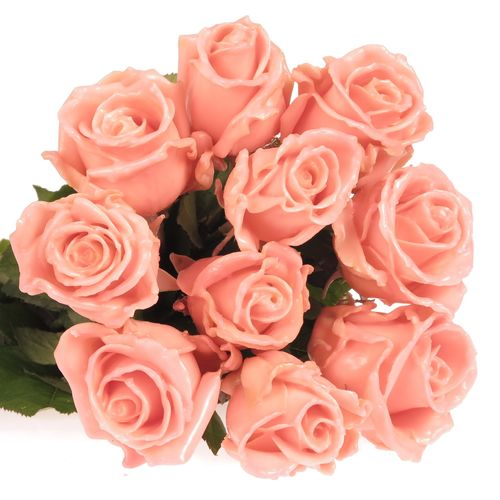 Rose apricot Wachs Versilia (W4) 70cm