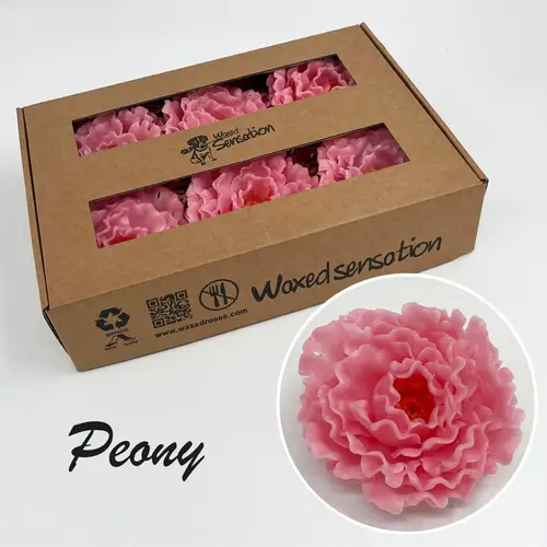 Seiden Wachs Pfinstrose hell rosa