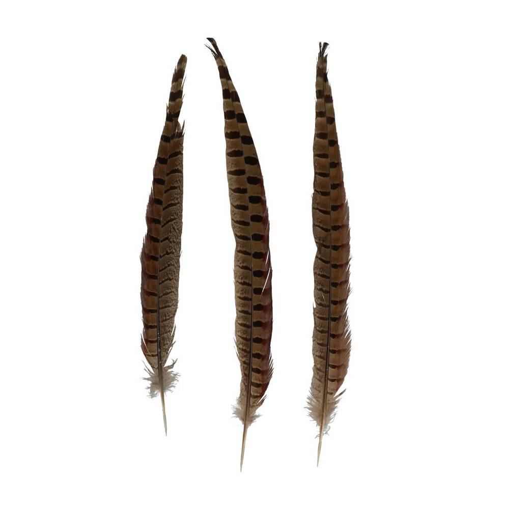 Fasan Federn 30-35cm Natur