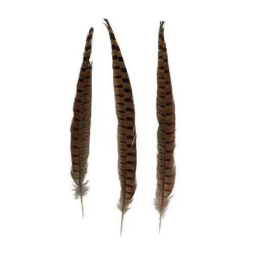 Fasan Federn 30-35cm Natur