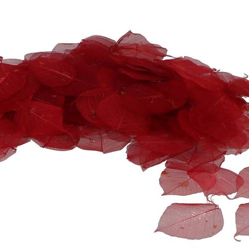 Skeleton Blätter rot x200