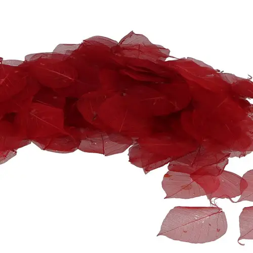 Skeleton Blätter rot x200