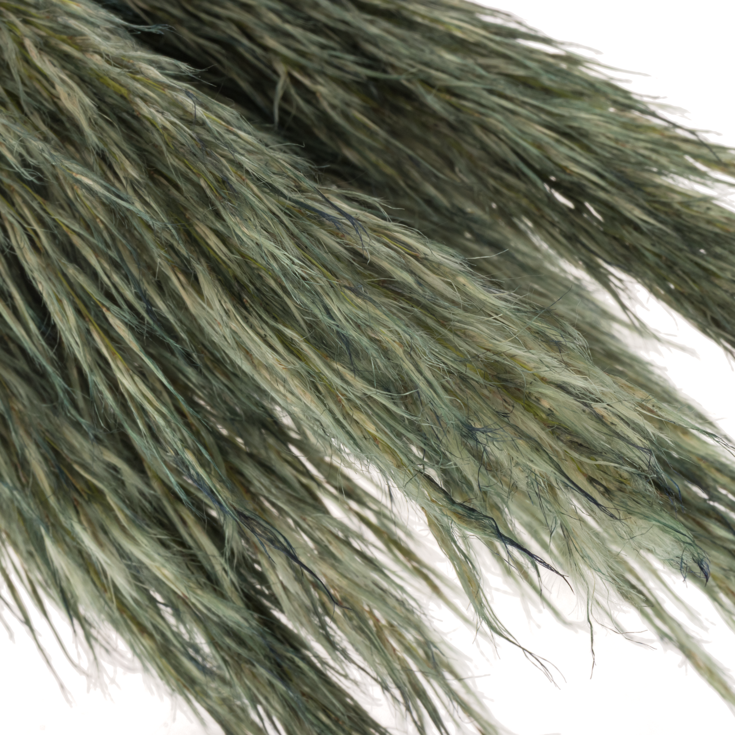 Pampas Frisch dunkel grün gefärbt 90cm
