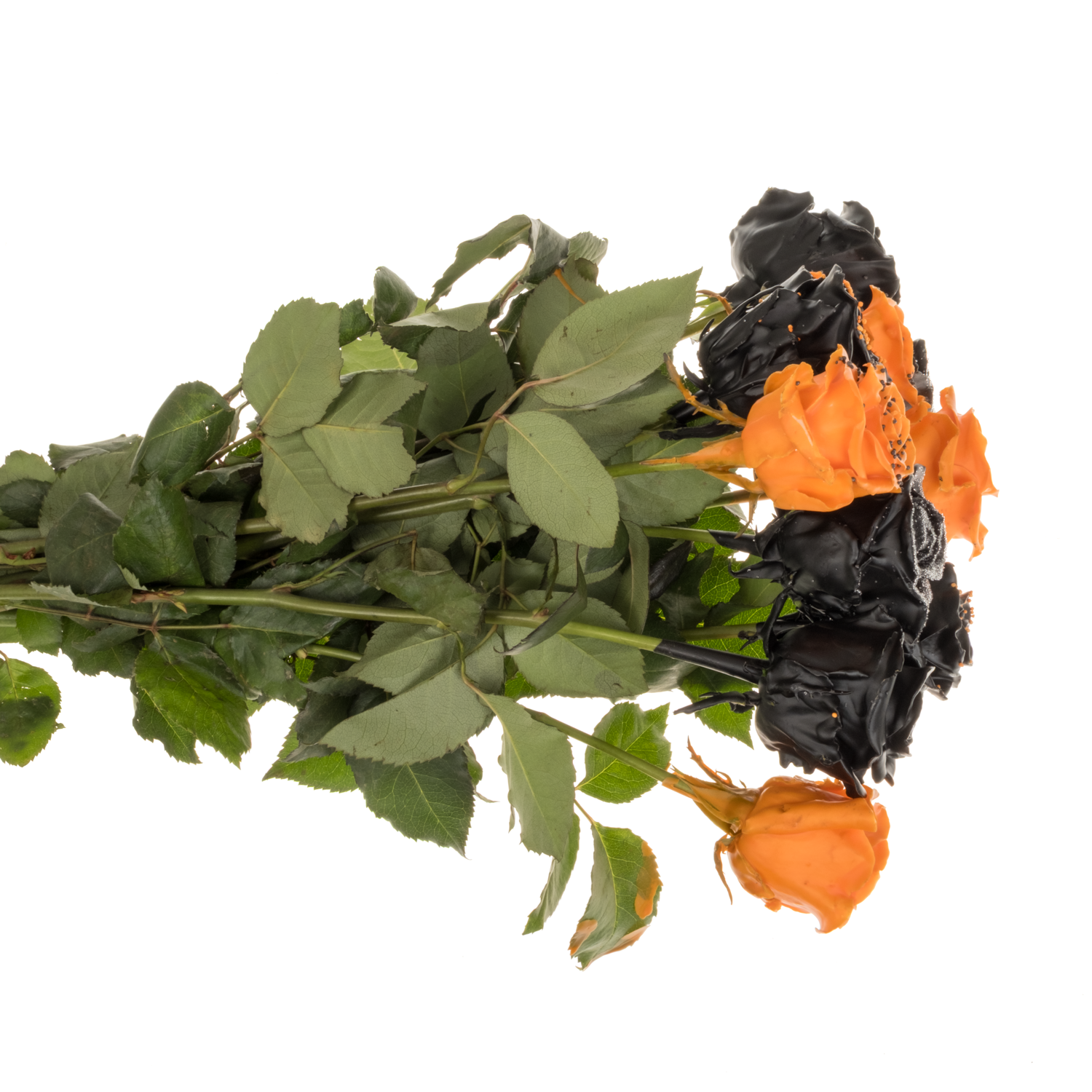 Rose wachs mix Choco Halloween duftend 70cm