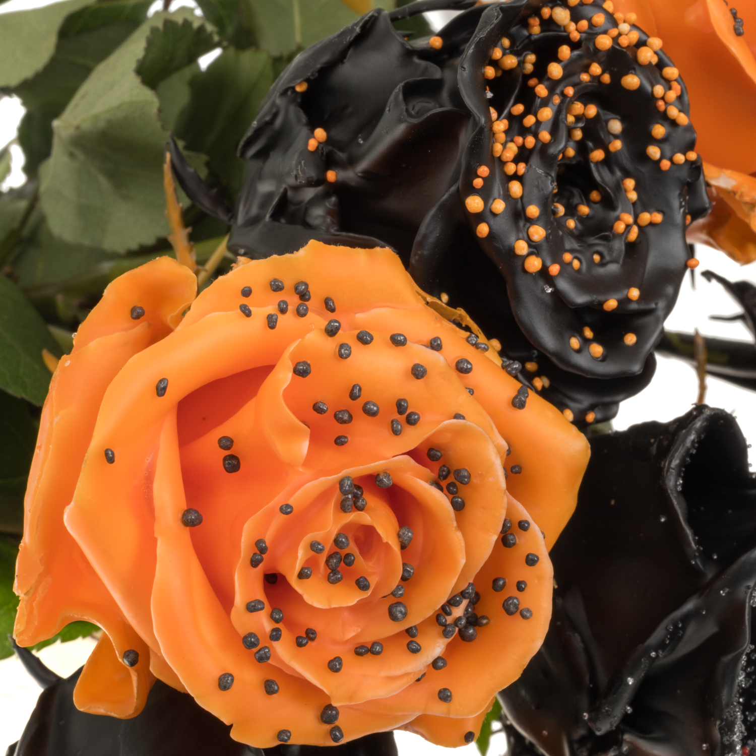 Rose wachs mix Choco Halloween duftend 70cm