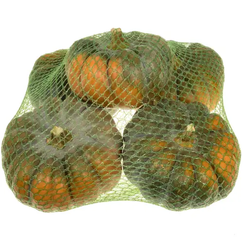 Zierkürbis orange/dunkel grün Montillo Im Netz 12cm