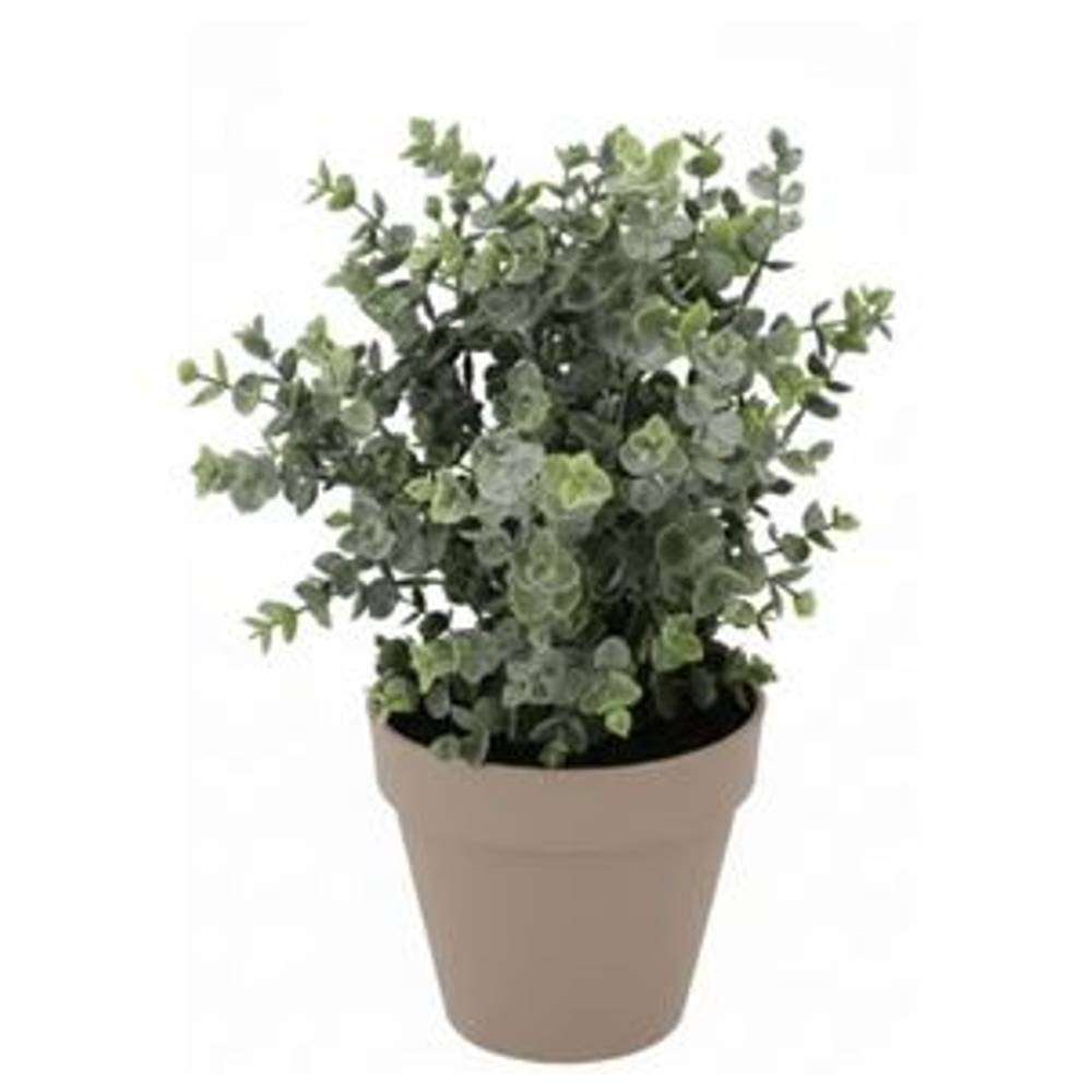 Seiden Eukalyptus im Übertopf D30cm H40cm