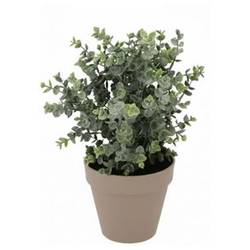Seiden Eukalyptus im Übertopf D30cm H40cm