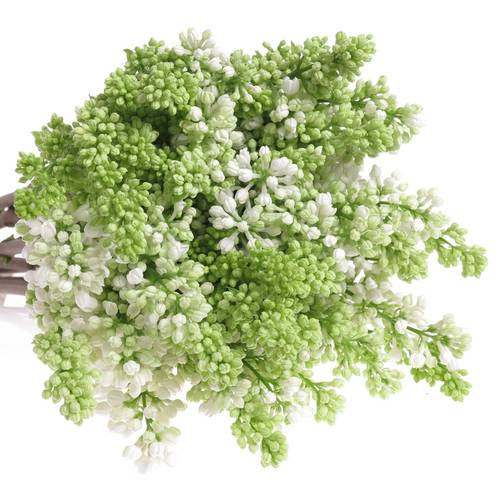 Flieder weiss Stepman 4 Kopf 40cm