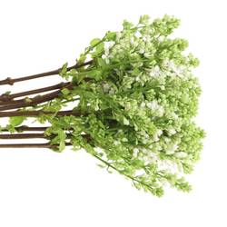 Flieder weiss Stepman 4 Kopf 40cm