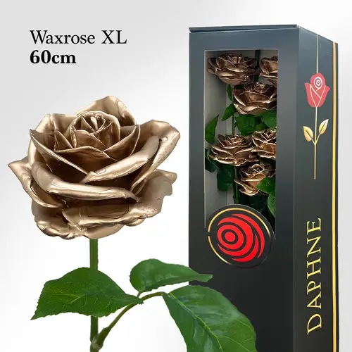 Plastik Wachs Rose XL auf Stiel champagne L60cm