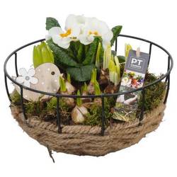 Zwiebel.Arr mix PTBM1473 T25 H020