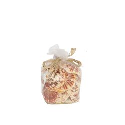 Muscheln Pecten 500gr Lentegious Nat