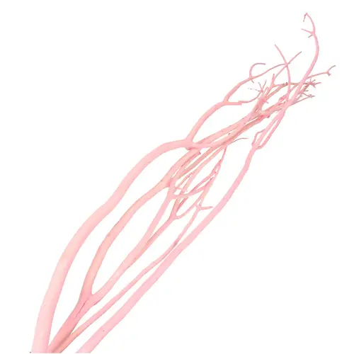 Mitsumata hell rosa Flock L115cm x3