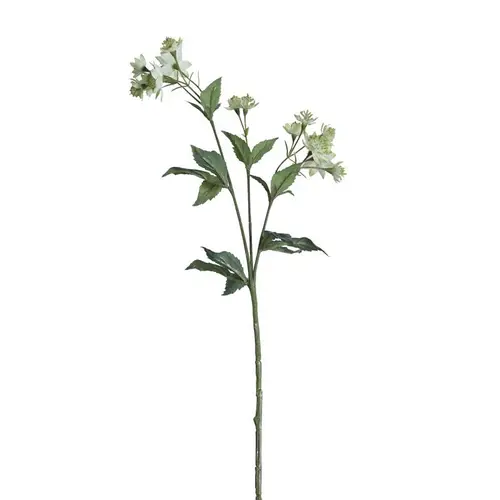 Seiden Astrantia grün/weiss L50cm