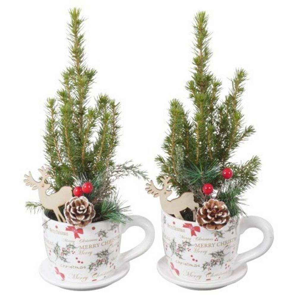 Picea.Arr PTK25345 Weihnachten T11 H030