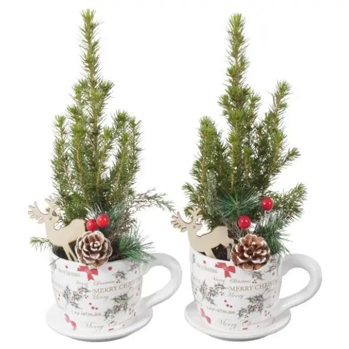 Picea.Arr PTK25345 Weihnachten T11 H030