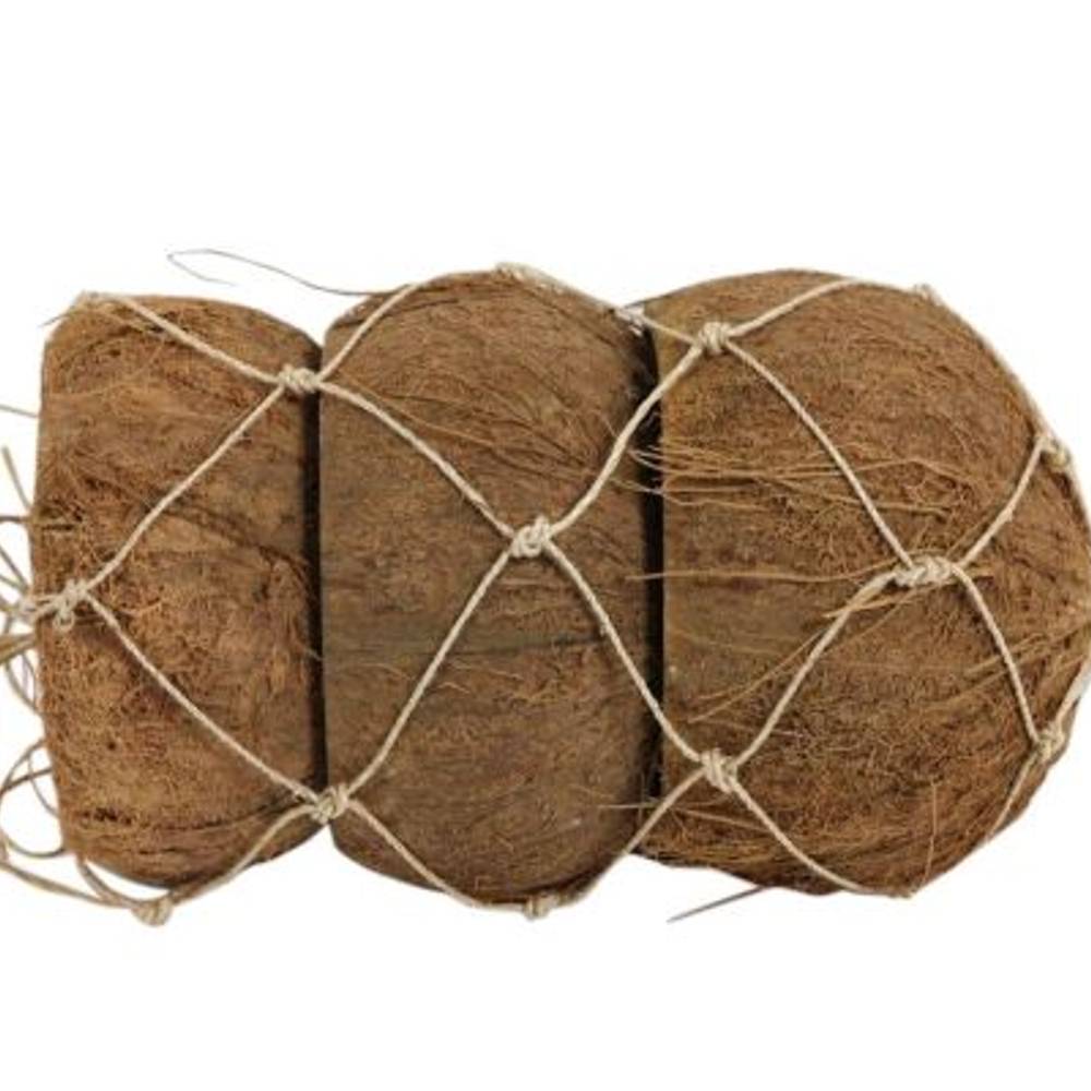 Trocken Coco natur 3 Stück D12cm