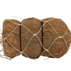 Trocken Coco natur 3 Stück D12cm