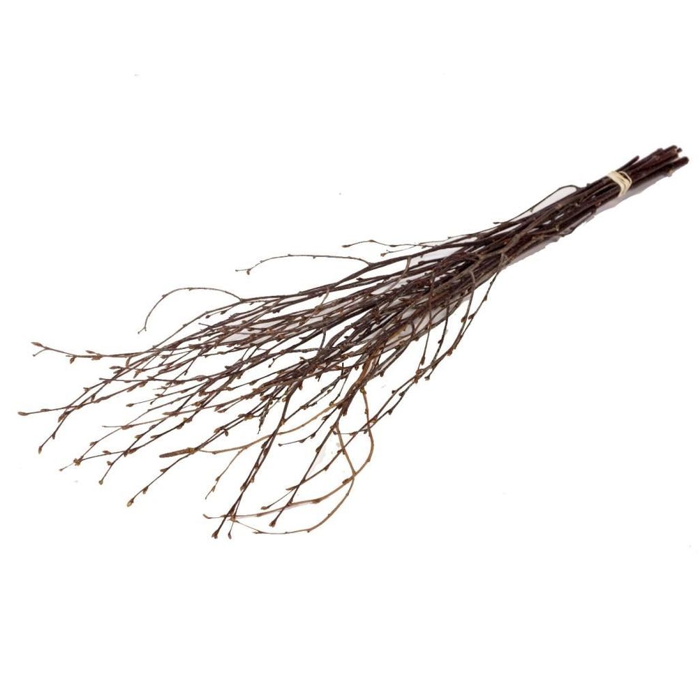 Trocken Zweig Birch natur L60cm
