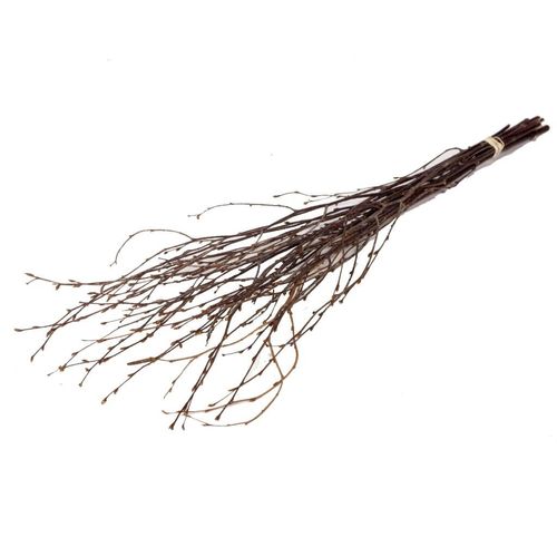 Trocken Zweig Birch natur L60cm