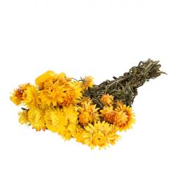 Trocken Helichrysum gelb L45cm 100g