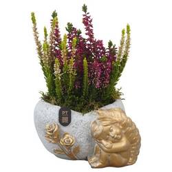 Garten.Arr PTAH3007 Allerheiligen T17 H025