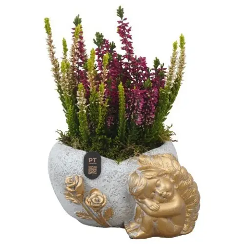 Garten.Arr PTAH3007 Allerheiligen T17 H025