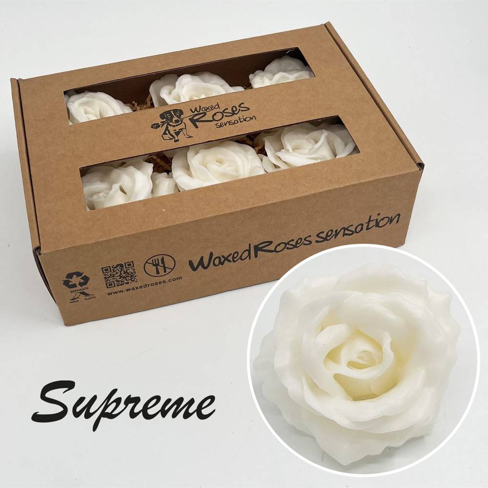Seiden Wachs Rose Supreme weiss