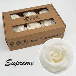 Seiden Wachs Rose Supreme weiss