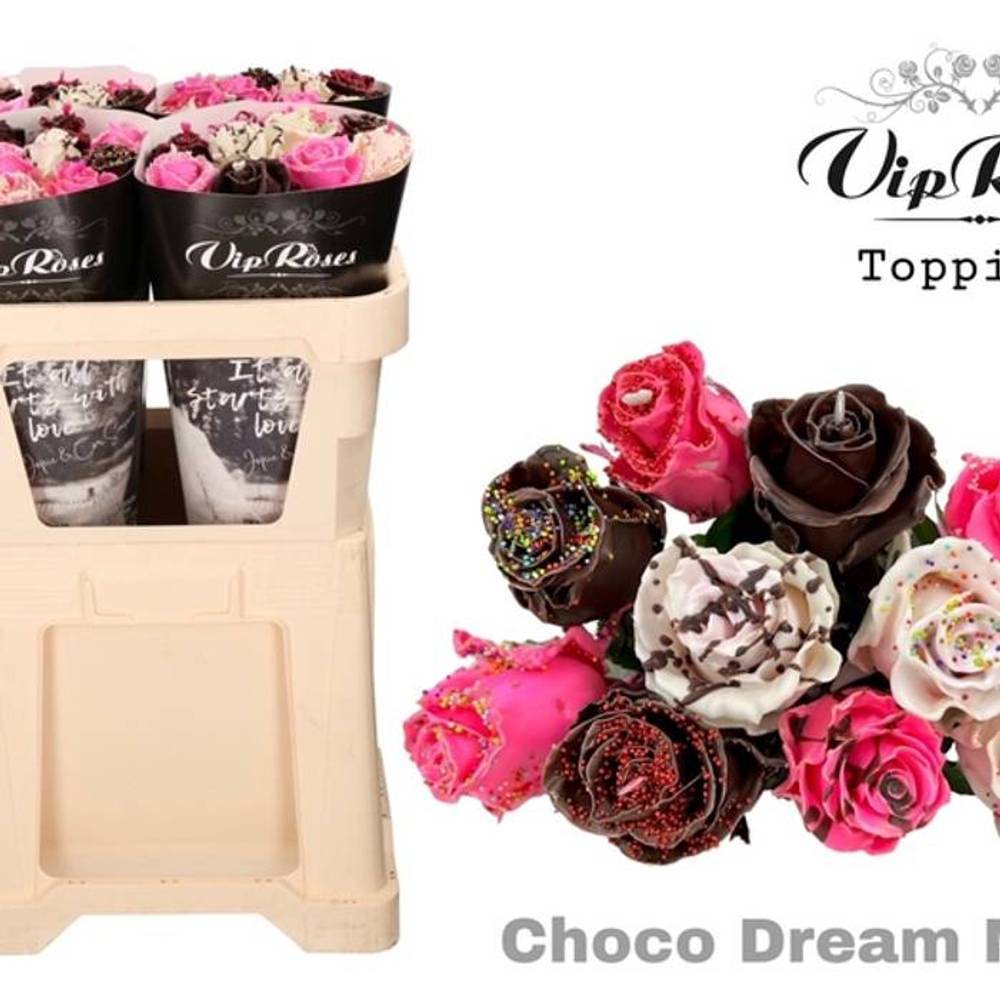 Rose wachs Choco Dream mix 60cm Duftend