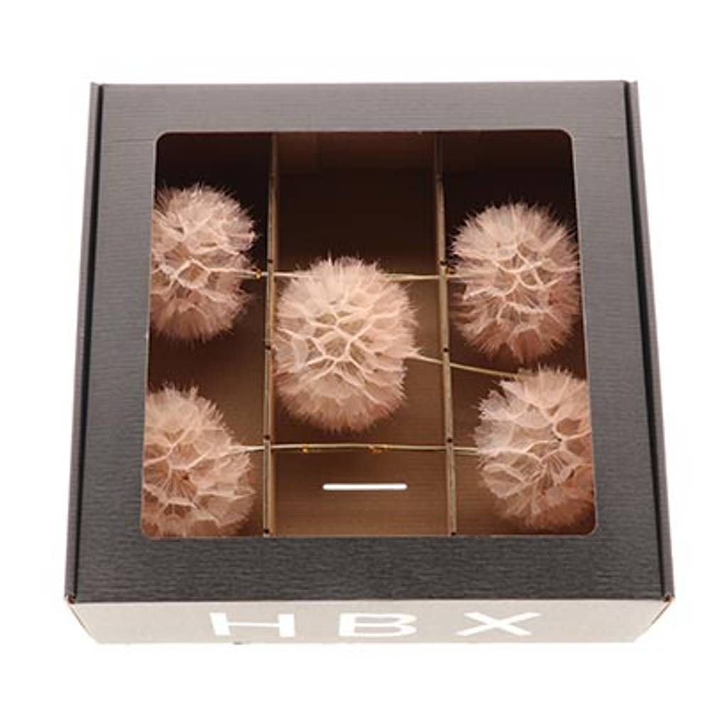 Seiden Posteblume sand x5 L35cm D11/13cm