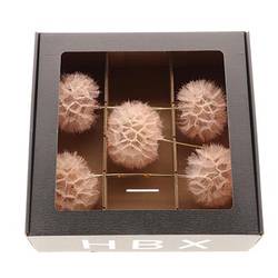 Seiden Posteblume sand x5 L35cm D11/13cm