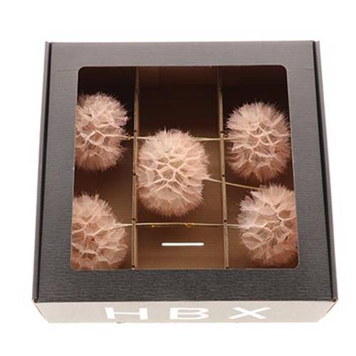 Seiden Posteblume sand x5 L35cm D11/13cm