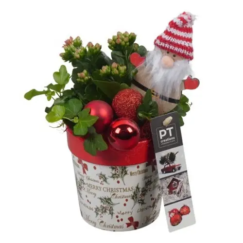 Kal.Arr PTCHR7292 Weihnachten T10 H020