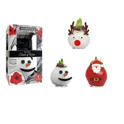 Amar.Bol Wachs mix im Giftbox rote Bl. 30cm H022