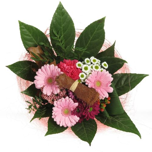 Strauß rosa Sisal 16 Stiele 40cm
