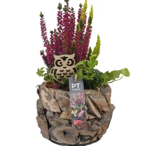 Garten.Arr PTHO4211 Herbst T14 H033