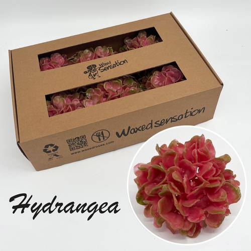 Seiden Wachs Hortensie rosa