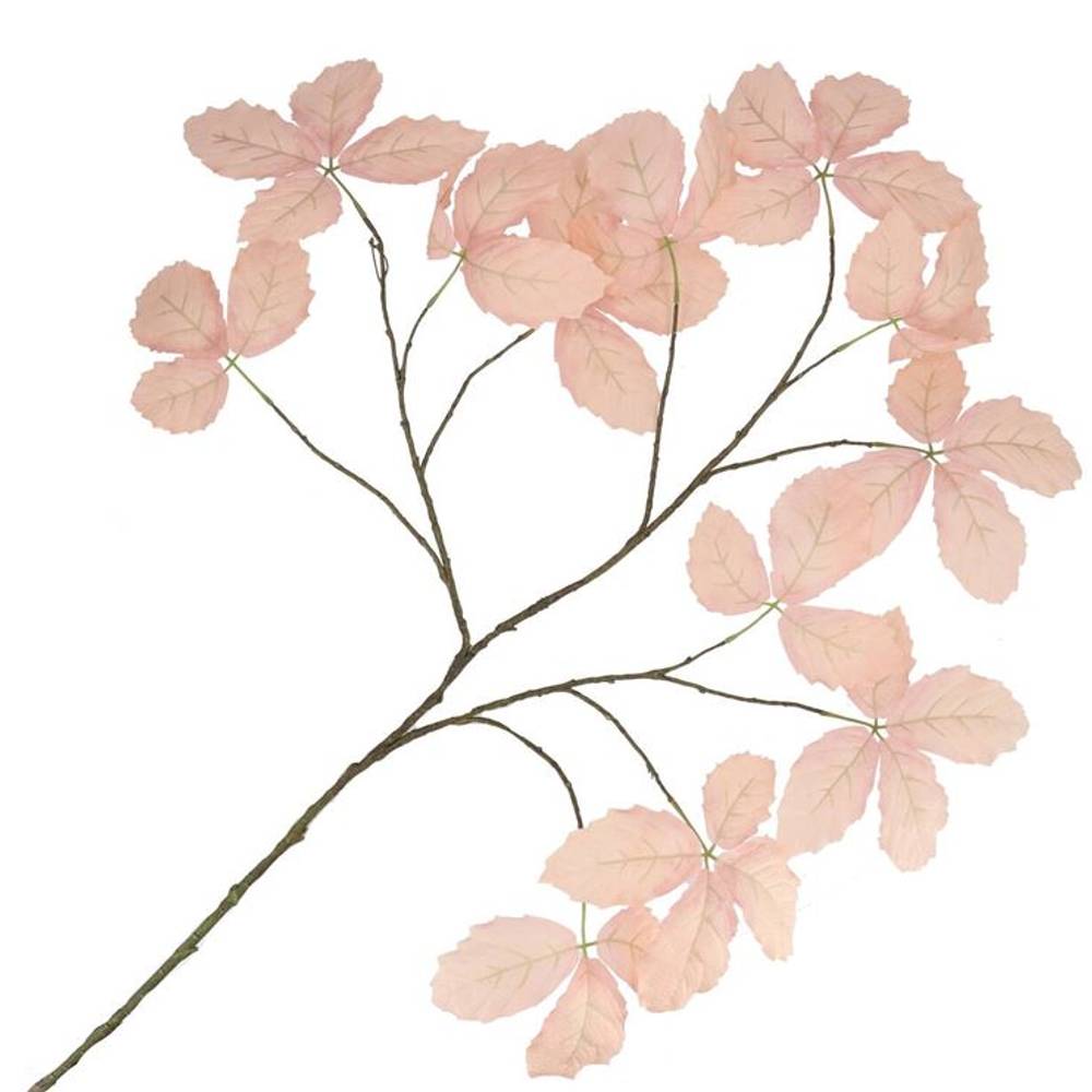 Seiden Kastanienblatt champagne L135cm
