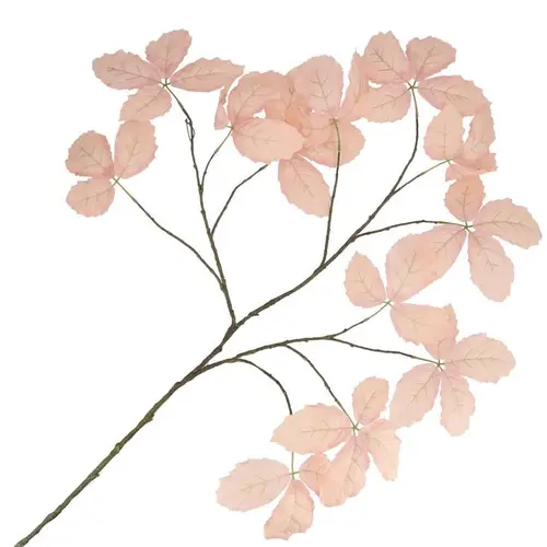 Seiden Kastanienblatt champagne L135cm