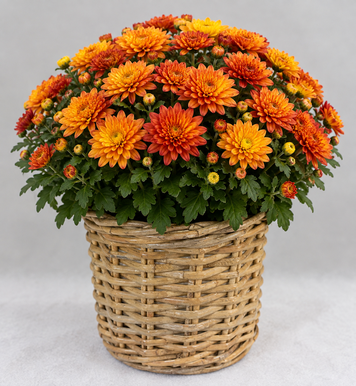 Korb Rattan natur D20cm H20cm