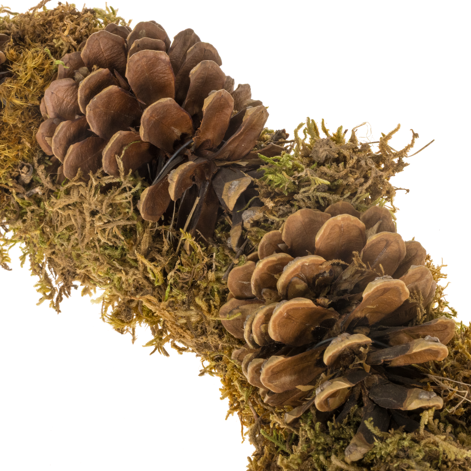 Kranz braun Pine Sporemoss D40cm