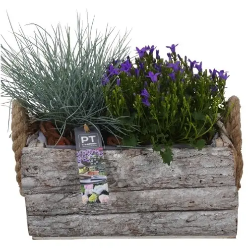 Garten.Arr PTSO8327 T25 H025