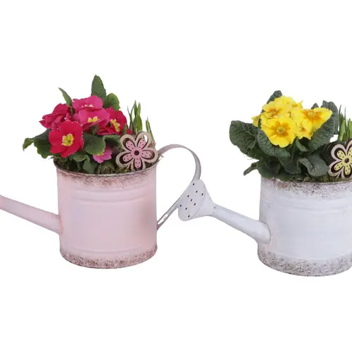 Garten.Arr mix ES636T4100 T36 H030