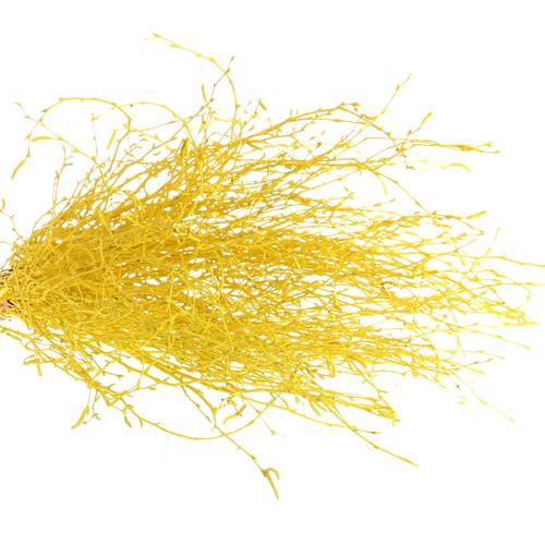 Birke gelb gefärbt 70cm